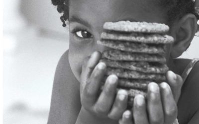 Blog Test-Post-add new